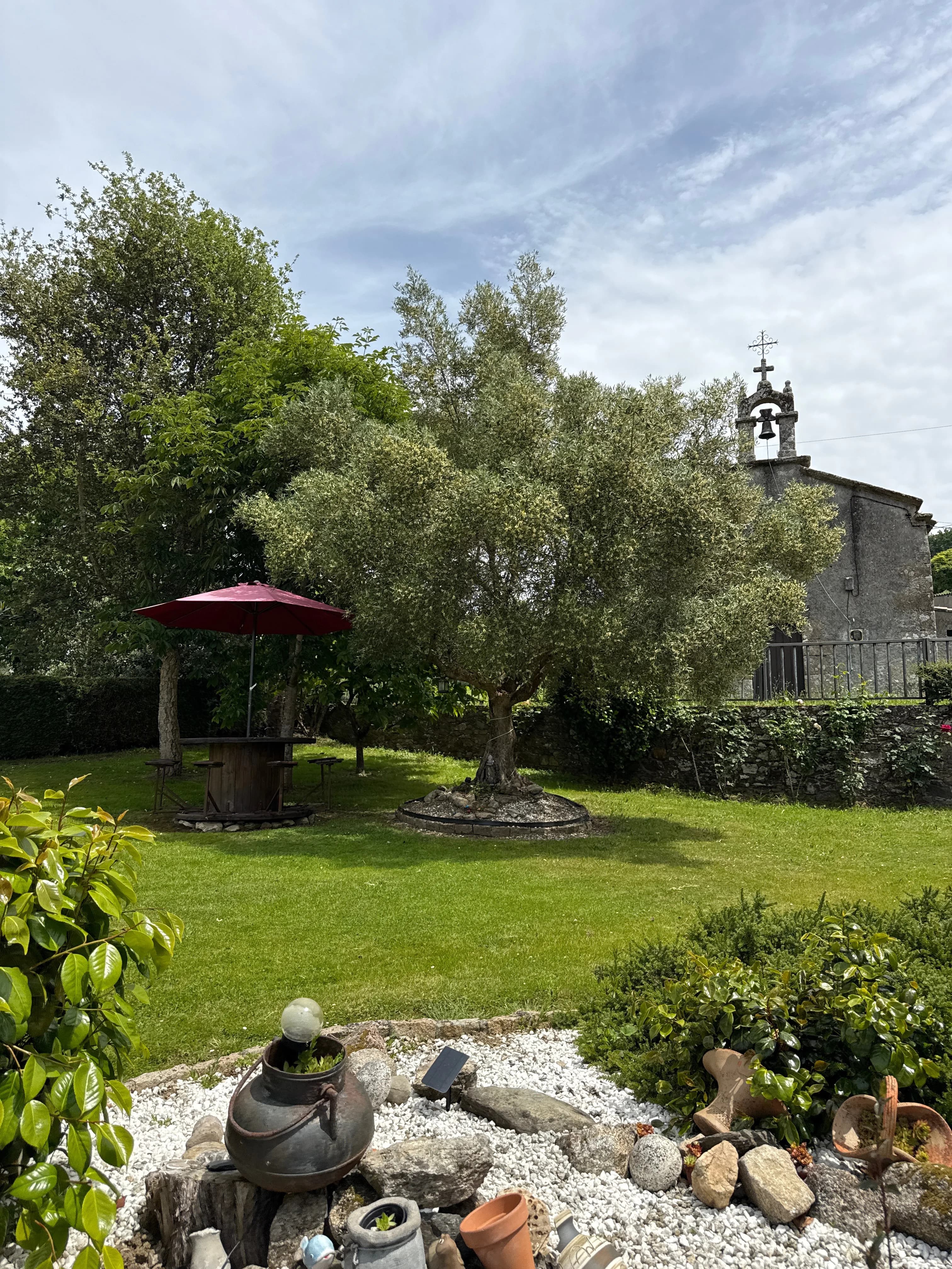 Jardín de O Lar do Carpinteiro con olivo centenario e iglesia de piedra en Oza dos Ríos